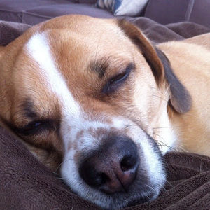 Meet your Posher, Derek